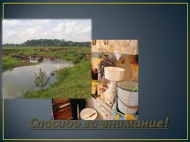 Изучение причин сокращения поголовья крупного рогатого скота в деревне Сосновка, слайд 15