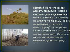 Изучение причин сокращения поголовья крупного рогатого скота в деревне Сосновка, слайд 9