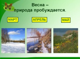 Весенние изменения в природе (для работы в группах), слайд 6