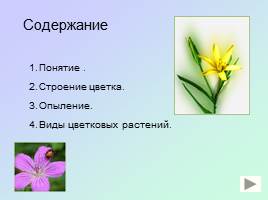 Строение цветкового растения - Разнообразие цветов, слайд 2