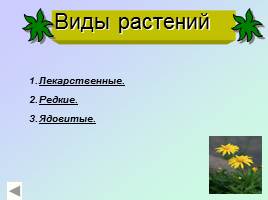 Строение цветкового растения - Разнообразие цветов, слайд 6