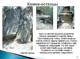 Природа родного края - Самарской области, слайд 10