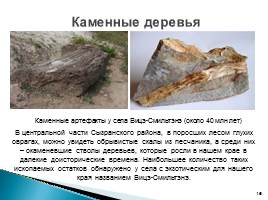 Природа родного края - Самарской области, слайд 16