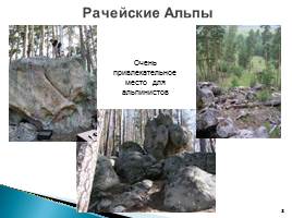 Природа родного края - Самарской области, слайд 8