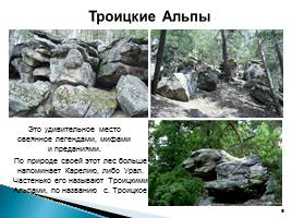 Природа родного края - Самарской области, слайд 9