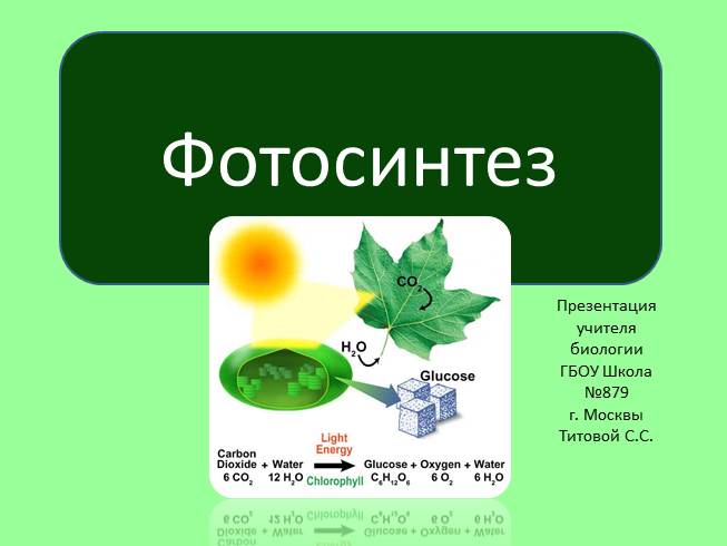 Презентация Фотосинтез