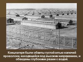 Концентрационные лагеря во время ВОВ, слайд 23