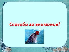 Исследовательская работа «Дельфин – разумное существо», слайд 20