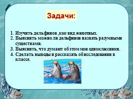 Исследовательская работа «Дельфин – разумное существо», слайд 5