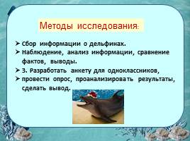 Исследовательская работа «Дельфин – разумное существо», слайд 6