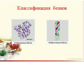 Белки – природные полимеры. Состав, строение и свойства белков., слайд 17
