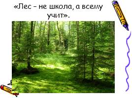 «Лес не школа, а всему учит» (о жизни и творчестве Н. И. Сладкова), слайд 17