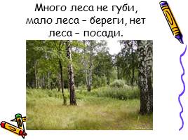 «Лес не школа, а всему учит» (о жизни и творчестве Н. И. Сладкова), слайд 19