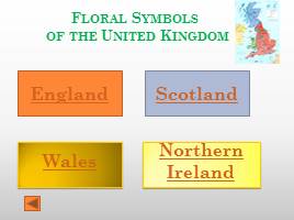 Цветочные символы Соединенного Королевства Великобритании, слайд 3