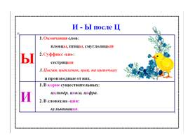 Комплект таблиц по русскому языку «Таблицы по орфографии. 5-6 классы», слайд 11