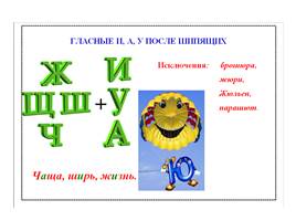 Комплект таблиц по русскому языку «Таблицы по орфографии. 5-6 классы», слайд 4