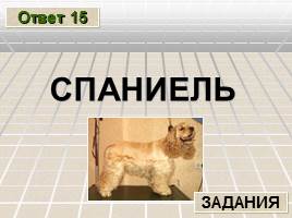 Познавательная игра по русскому языку «Лингвистический ринг» , слайд 33