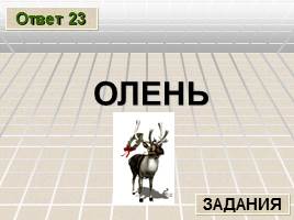 Познавательная игра по русскому языку «Лингвистический ринг» , слайд 49