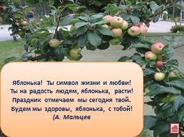 Стихи и загадки о яблоне и яблоках для детей, слайд 7