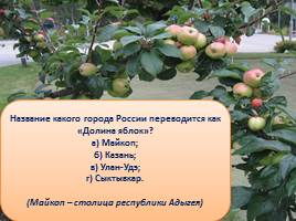 Викторина «Яблоки», слайд 24