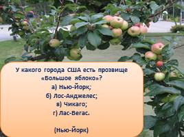 Викторина «Яблоки», слайд 25