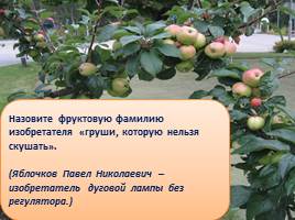 Викторина «Яблоки», слайд 6