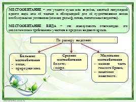 Местообитание - Географическое и экологическое распределение организмов, слайд 2