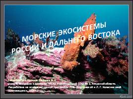 Презентация Морские экосистемы России и Дальнего Востока