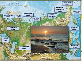 Морские экосистемы России и Дальнего Востока, слайд 2