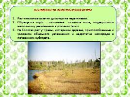Характеристика болотных экосистем России, слайд 3
