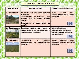 Характеристика болотных экосистем России, слайд 4