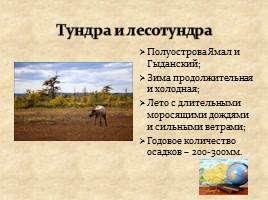 Природно-территориальные комплексы Западно-Сибирской равнины, слайд 4