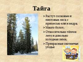 Природно-территориальные комплексы Западно-Сибирской равнины, слайд 7