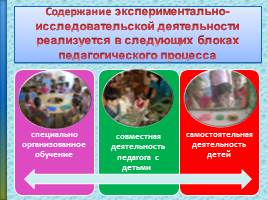 Организация экспериментально-исследовательской деятельности дошкольников в природе в соответствии ФГОС ДО, слайд 12