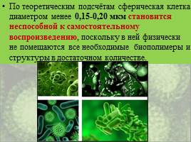Бактерии: строение и жизнедеятельность, слайд 42