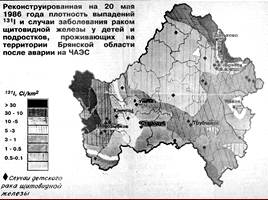 Последствия аварии на ЧАЭС на территории Брянской области, слайд 7