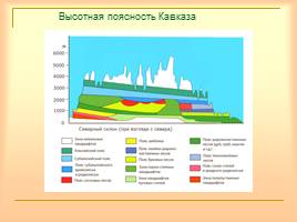 Кавказ - самые высокие горы России, слайд 19