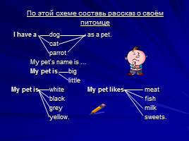 Урок-презентация по теме «Pets», слайд 8
