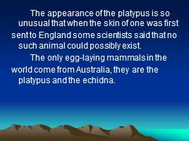 The strange world of Australian animals, слайд 5