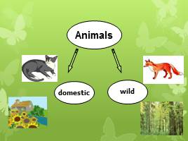 Types of animals, слайд 10