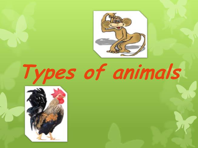 Презентация Types of animals