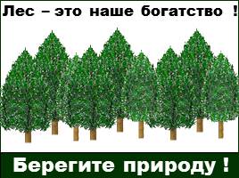 Леса России, слайд 47