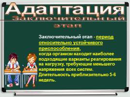 Адаптация пятиклассников в свете новых стандартов ФГОС НОО, слайд 9