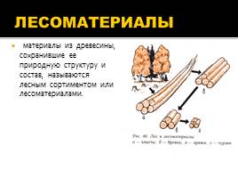 Выбор древесины для работы на уроке технологии, слайд 5