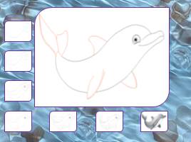 Давайте нарисуем дельфина, слайд 7