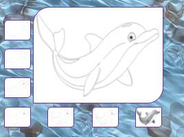 Давайте нарисуем дельфина, слайд 9