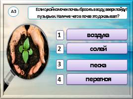 Тест «Что такое почва?» окружающий мир 3 класс, слайд 5