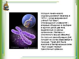 Трансгенные организмы, слайд 7