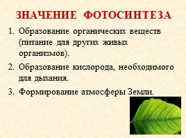 Питание растений, слайд 8