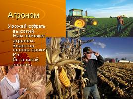 Сельскохозяйственные специальности - Все професии нужны, все профессии важны, слайд 15